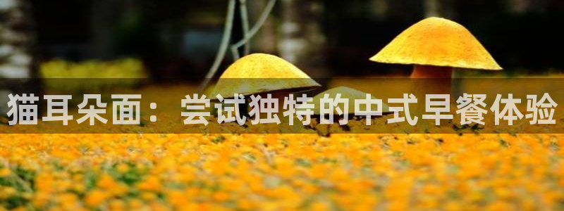 猫耳朵面：尝试独特的中式早餐体验